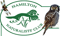 Link to Hamilton Naturalists' Club 