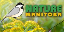 Link to Nature Manitoba