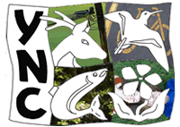 Link to Young Naturalists' Club of BC
