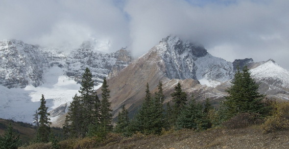 In The Shadow of Peaks