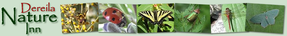The Dereila Nature Inn - A Virtual Nature Centre for Nature Lovers
