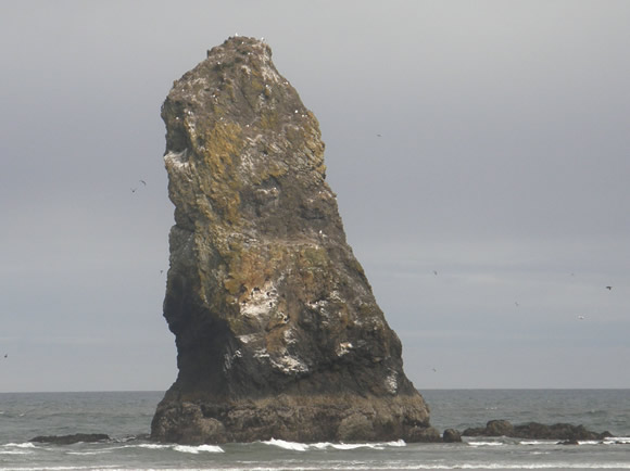 Along the Oregon coast