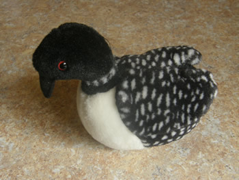 Common Goldeneye