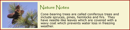 Nature Notes