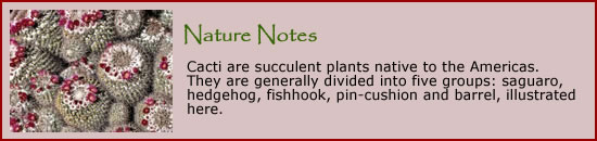 Nature Notes