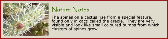 Nature Notes