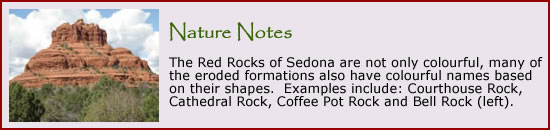 Click here totake a tour of the Red Rocks of Sedona.