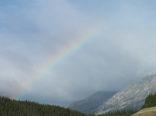 Spring rainbow