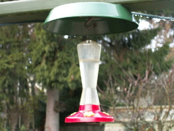 Hummingbird feeder with protective cover