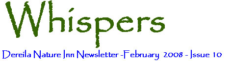 February 2008 - Whipsers - The newsletter of the Dereila Nature Inn - A cyber place for nature lovers.