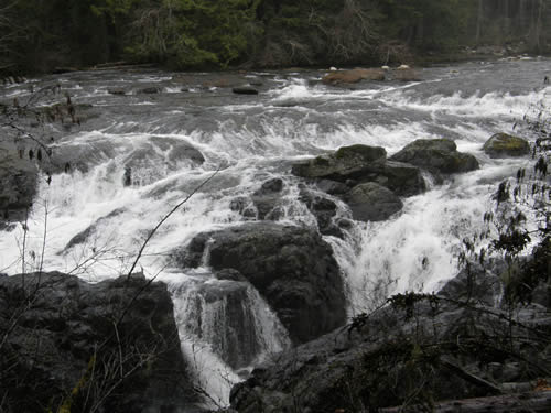 Snippets in Nature image