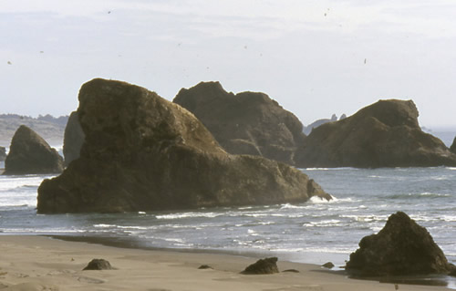 Along the Oregon coast.