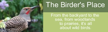 The Birder's Place