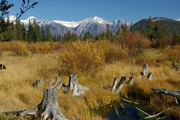 Vermillion lakes