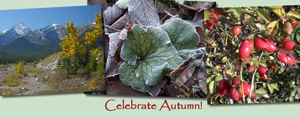 Celebrate Autumn