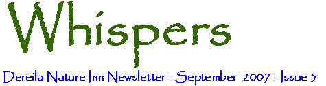 September 2007 Whispers