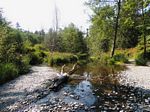 Goldstream River