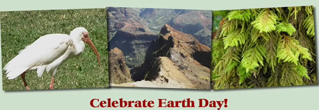 Earth Day Celebration