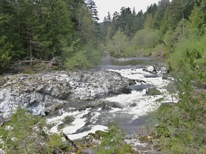 Spring Run-off on Vancouver Island 