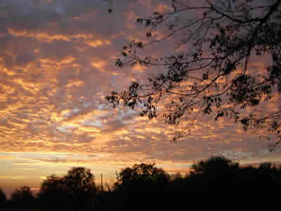 Texas Sunset