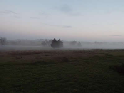 Misty Morning in Texas