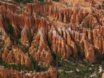 Ampitheatre at Bryce Canyon