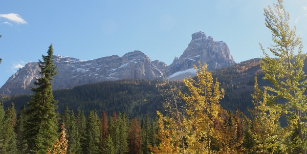 Yoho Scenery