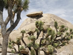 Cap Rock