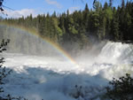 Dawson Falls