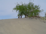 Dunes