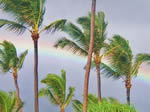 Hawaiian Rainbow