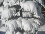 Heavy Snow