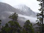 Mountain Mist