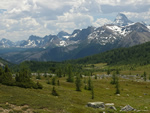 The Backcountry