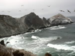 Oregon Coast