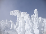 Snow Sculptures