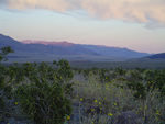Spring Evening