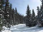 Winter Day