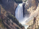 Lower Yellowstone Falls
