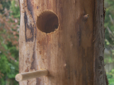 Log feeder with dowel