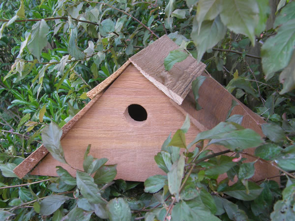 Nestbox - click to visit