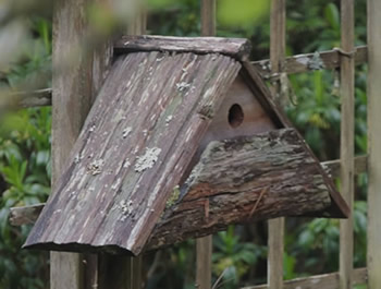 Traditional Nest Box - click for instructions