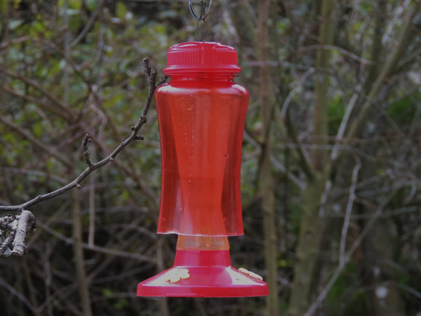 Insulated hummingbird feeder