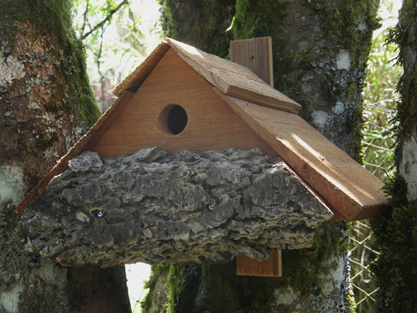 Finished nest box