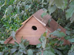 Apex Nest Box