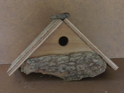 Bark on the front