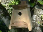 Flat Topped Nest Box 