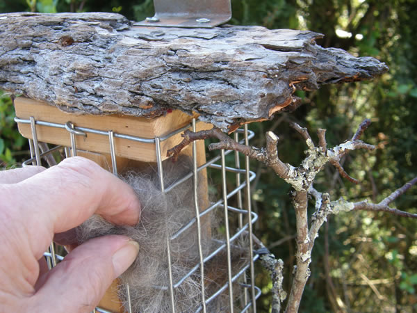 Adding the nesting material