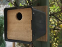 Plant Pot Nest Box