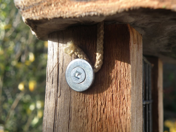 Screw and washer secure the hanging cord